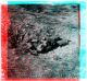 Cadavre allemand, Lorraine